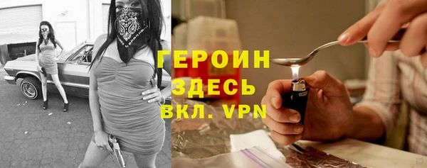 гидра Алексеевка