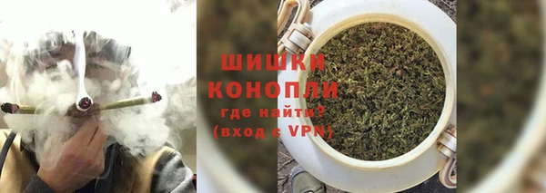 гидра Алексеевка