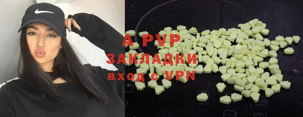 гидра Алексеевка