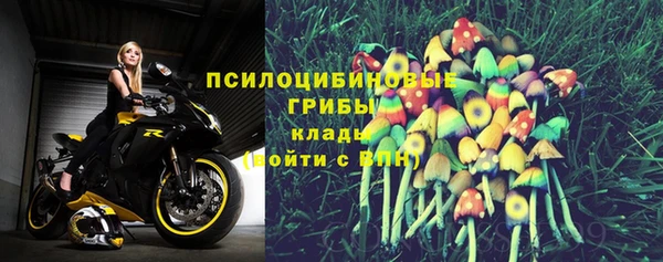 гидра Алексеевка